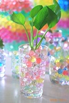 ����רҵ����+רҵ����---���ʳ��ڲ�Ʒ+gel crystals
