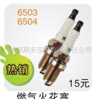 CNG专用火花塞
