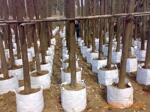 植树袋 涤纶无纺布 布料(图)