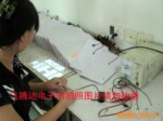 供应EL发光片,冷光片,发光闪光车标,车贴