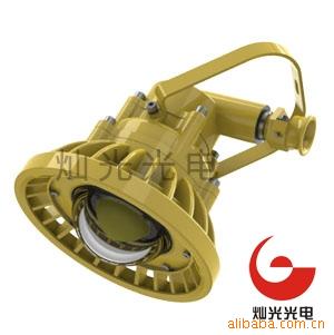 供应30W防爆LED灯-温州市灿光光电科技有限