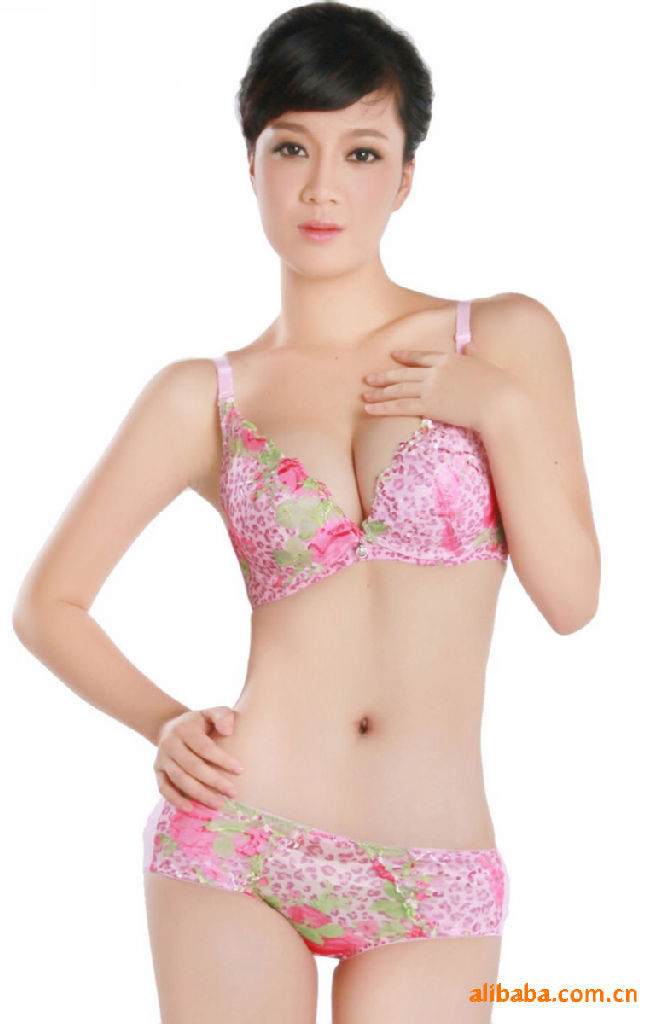 WX1088 即定型又<em>聚拢</em>型<em>文胸黛安芬</em>批发–W