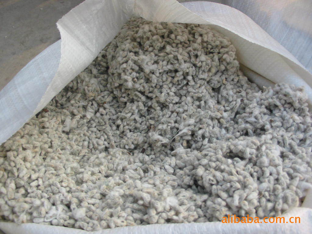 长期出售棉短绒精炼植物油棉粕棉籽壳