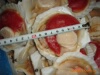 ��Ӧ��������ȱ�/�䶳ˮ��Ʒ/��������/����ȱ�