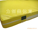 北京市厂家低价出售优质维纶革+EVA标准摔跤垫子(新)