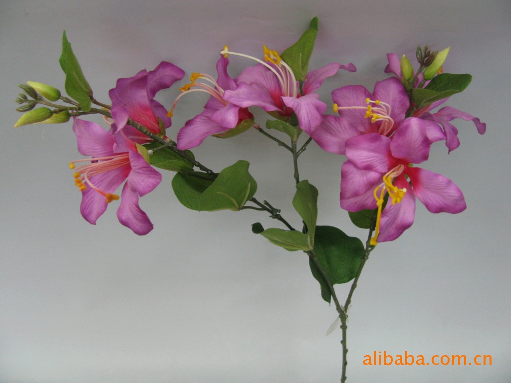 发采购仿真植物-供应外贸单塑胶丝花,紫荆花香