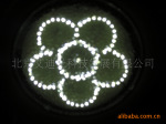 ���Ϲ�LED������5W--С÷��