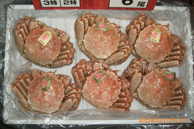 日本北海道直送 寿水产特级毛蟹