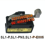 ��λ����SL1-P-E005