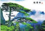 全景奇画 高清三维立体画批发 立体画动感画 动感画 sf-2027