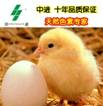 ��Ӧ�������Ӽ� Ҷ����