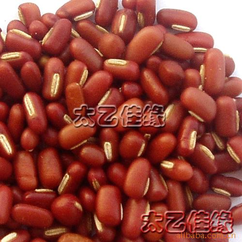 赤豆是什么_图片大全_图片搜索网