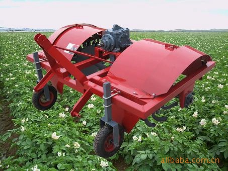 洪珠2TD-S2马铃薯土豆上土机 图片