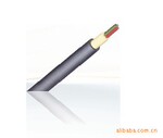 ������ֱ�������� ���ڹ��� ���Ϻ� �������ؼ��Ż�