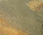 甲基硅酸钾 防水剂