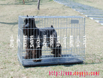 厂家直销60,80,90可折叠狗笼