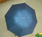 ������ֱ�� ������֤����Ӧ��ʿר��ɡ ��������ɡϵ��