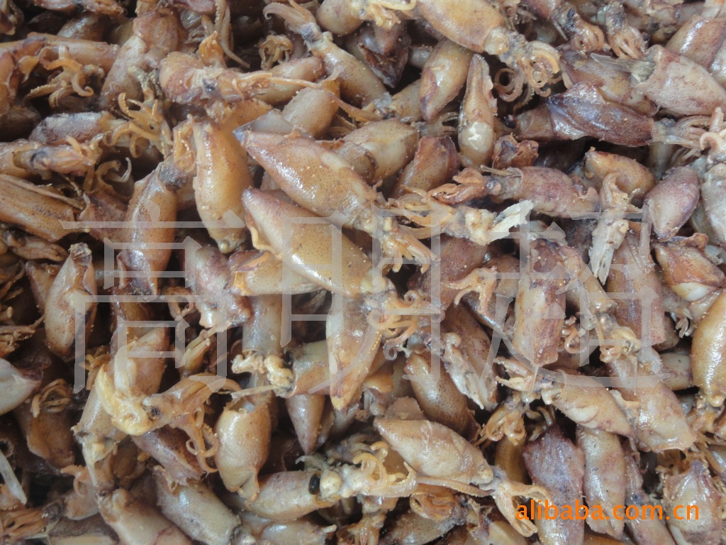 供应优质 小海兔 墨鱼仔 量大价优,寻求长期合作