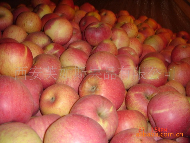 秦冠苹果--味道甜美 形状均匀 营养丰富 质量上乘