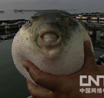 用赔钱的谋略去赚钱