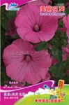 H001��������