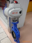 ��Ӧ�㶫���ܻ�������