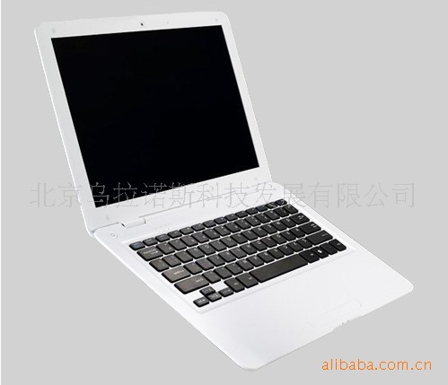 供应宜追梦edream10.2寸彩色笔记本(上网本)(