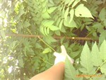 ���ڴ����ͼ۹�Ӧ����С��H60������