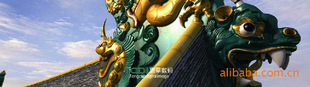 �ŵ佨���Ӯ�����