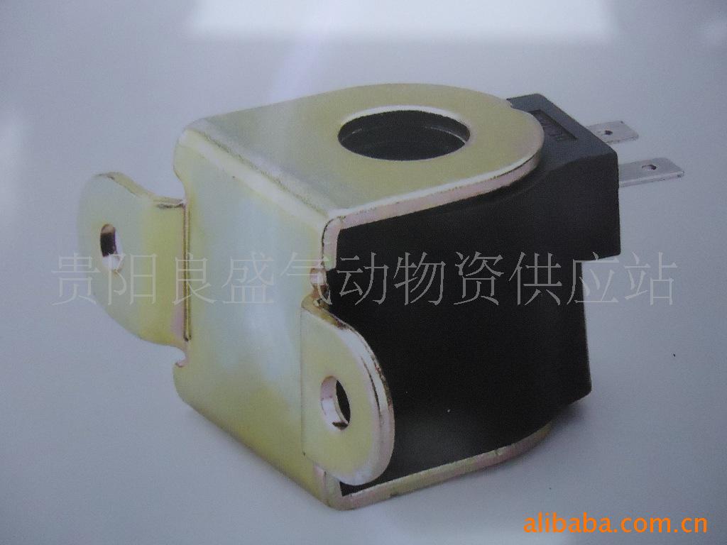 电磁阀-特价供应LPG\/CNG汽车电磁阀线圈-电