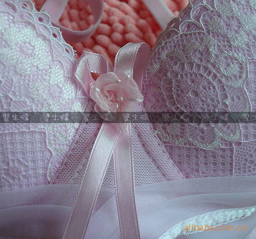 <em>胸罩</em>批发 女士内衣 文胸 有氧<em>软托调整型胸罩</em> 9