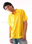 ��Ӧ����POLO�� ȫ��T�� ����T�� (ͼ)