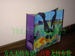 供应高质量套色准确四色彩印腹膜淋膜无纺布袋