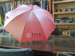 供应 雨伞(图)