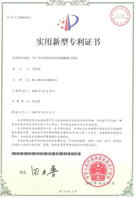 專利2