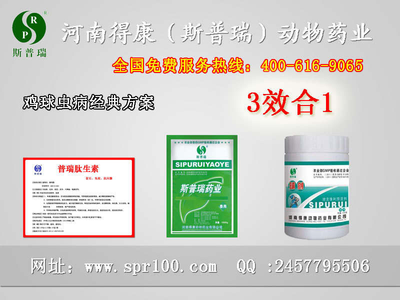 97【鸡球虫病特效药】【鸡球虫病】400-616-9065(肝虫