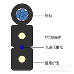 ͨ�Ź��� FTTH ���߹���