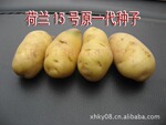 ��̨�������������Ѷ�������ԭ��/��������/Լ25-50��/����