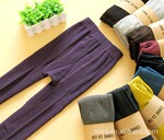 批发小商品 2011秋冬超热卖 外贸女士糖果色全棉加厚连裤袜135g