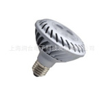 ����GE ������LED  �ɵ��� 10W PAR30 ��Դ