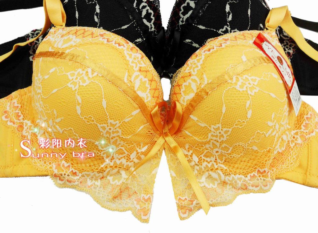 【【厂家直销外贸整单<em>文胸</em>8833#<em>36</em>-46】大杯