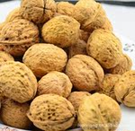 批发供应【云南特产】大理 纸皮核桃 生核桃