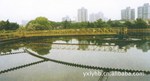 ��Ӧ���Ĵ���Ũ����(ͼ)
