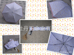 批发三折铅笔伞,批发创意雨伞,雨伞印刷