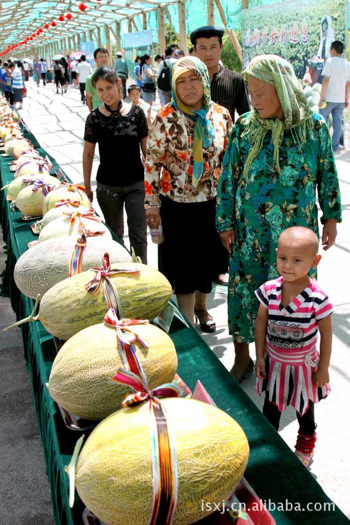 新疆原产地吐鲁番哈密瓜批发供应图片,新疆原