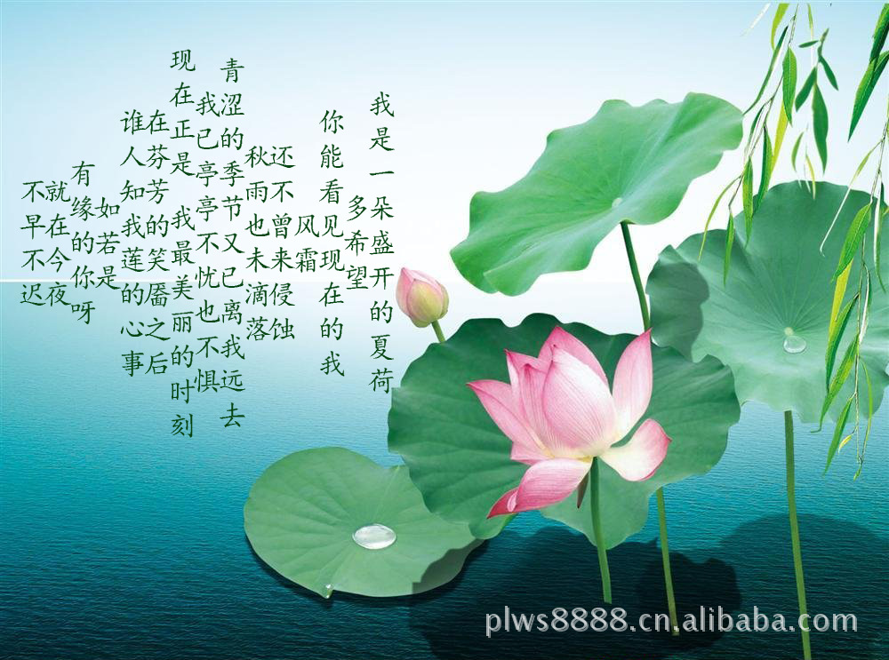 【暖冬大型原创爱情诗歌征集】圆满结束,恭喜