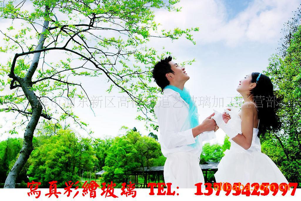 写真彩绘玻璃油画国画工笔画及婚纱照写真照图