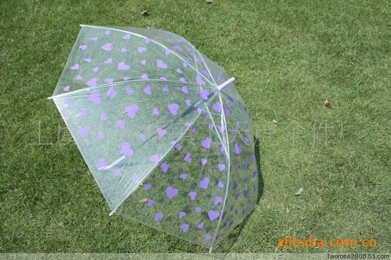 【透明伞,让你在下雨天看到别样的景色】