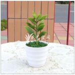 小扁豆 高仿真塑胶小植物 迷你小植物盆景