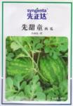 供应先甜童种子【超甜/皮薄/耐运】先正达小型无籽西瓜